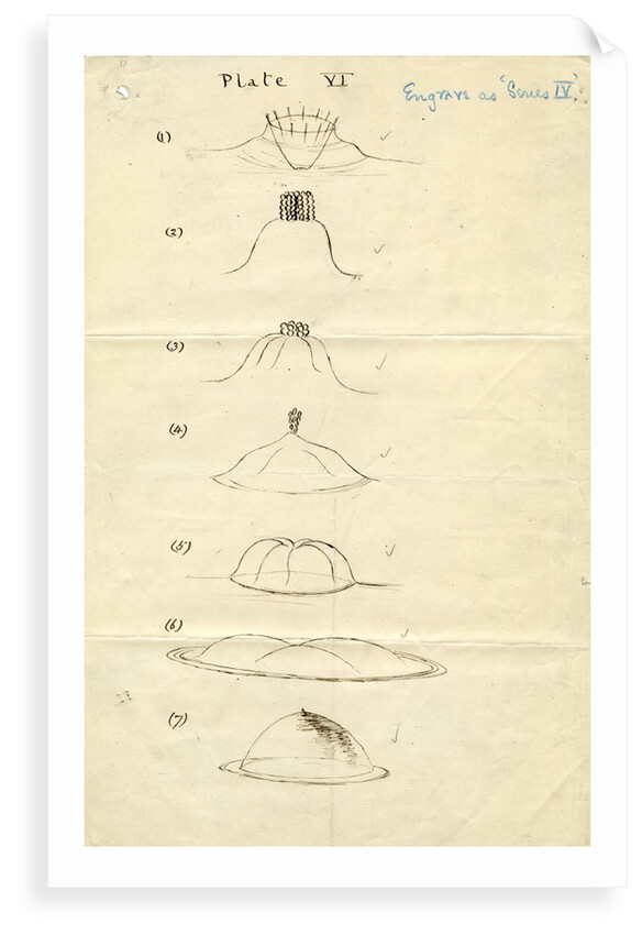 Impact on a liquid by Arthur Mason Worthington