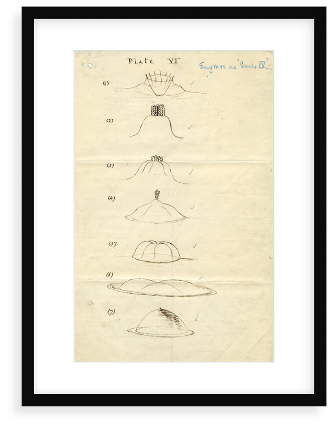 Impact on a liquid by Arthur Mason Worthington