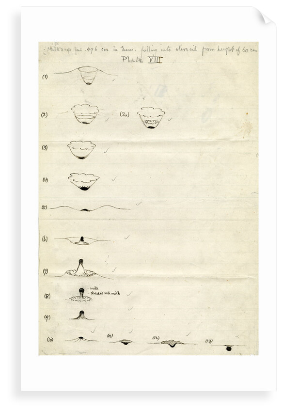 Impact on a liquid by Arthur Mason Worthington