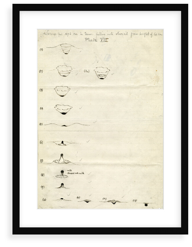 Impact on a liquid by Arthur Mason Worthington