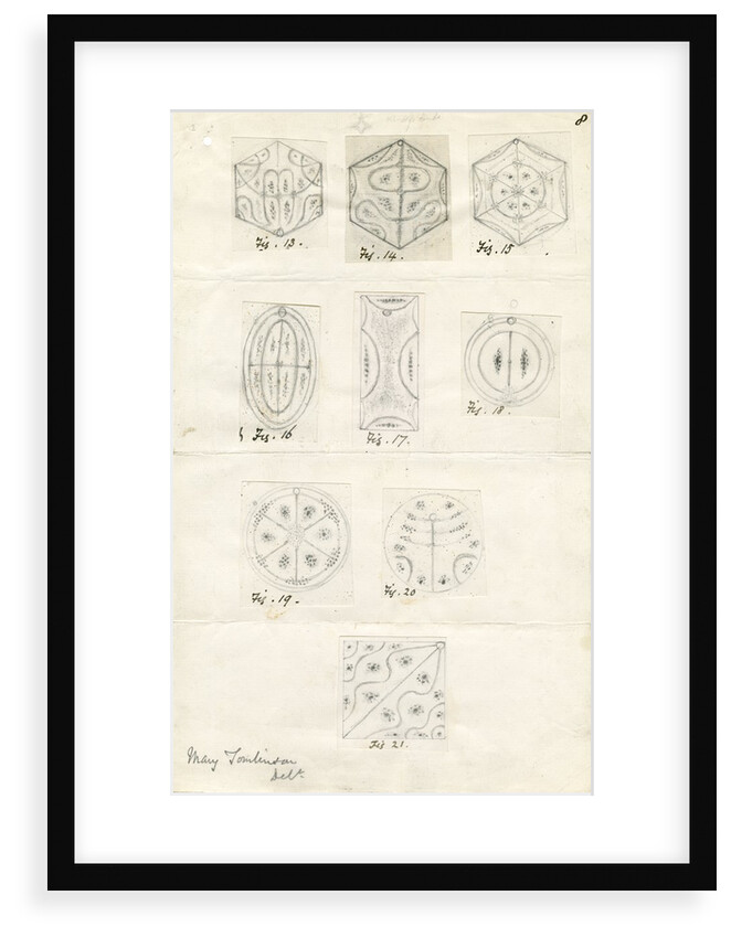 Nine figures showing nodal lines on vibrating plates by Mary Tomlinson
