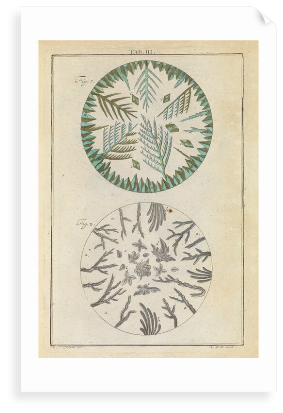 Crystallised salts by Martin Frobene Ledermuller