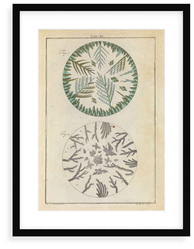 Crystallised salts by Martin Frobene Ledermuller