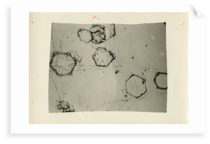 Snow crystals by unknown