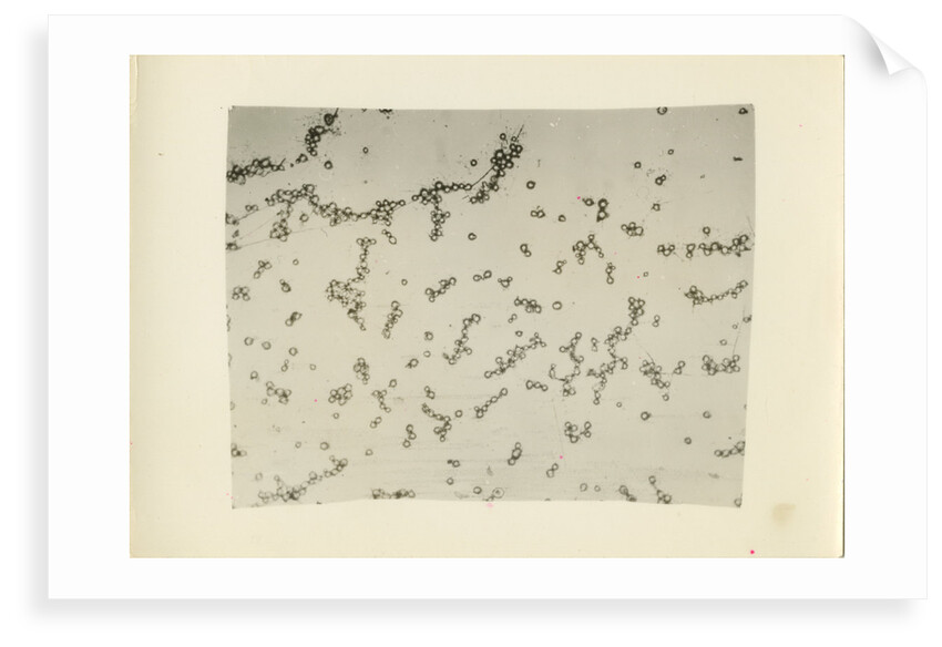 'Water fog droplets' by unknown