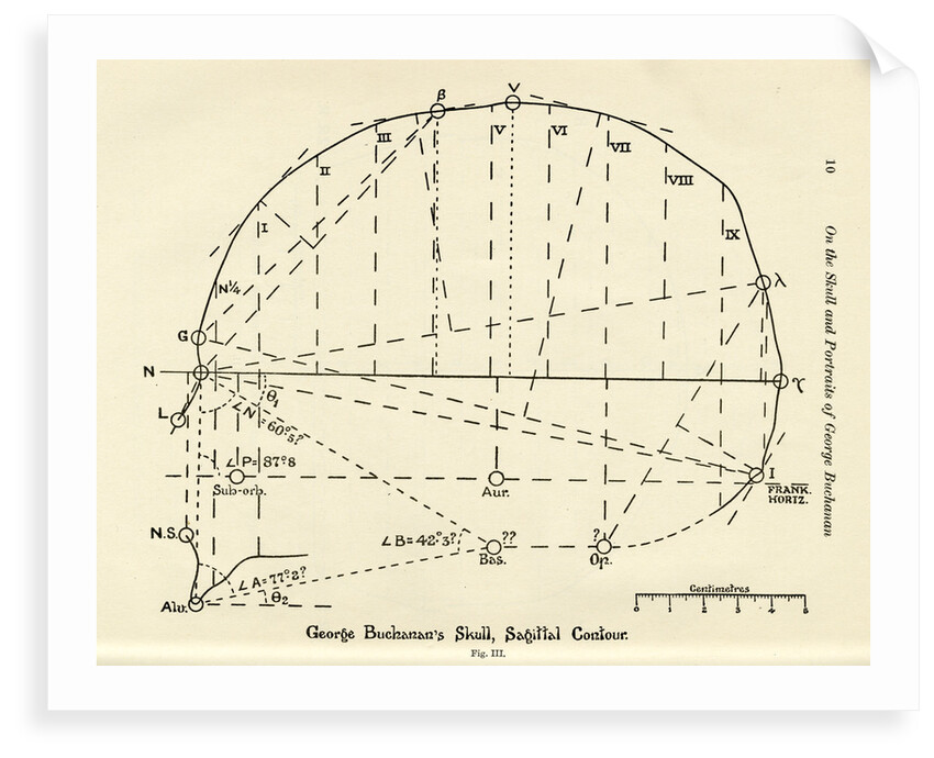 Measurements of George Buchanan's skull by unknown