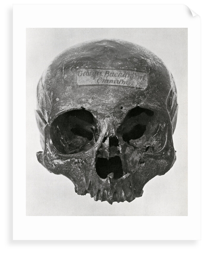 George Buchanan's skull by unknown