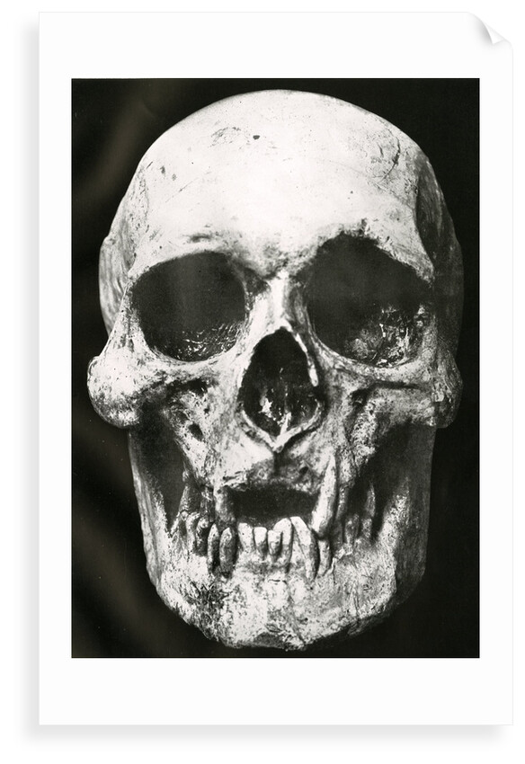 Robert the Bruce's skull by unknown