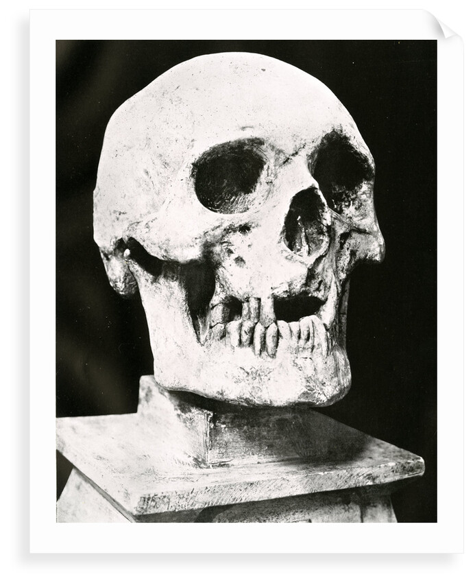 Robert the Bruce's skull by unknown