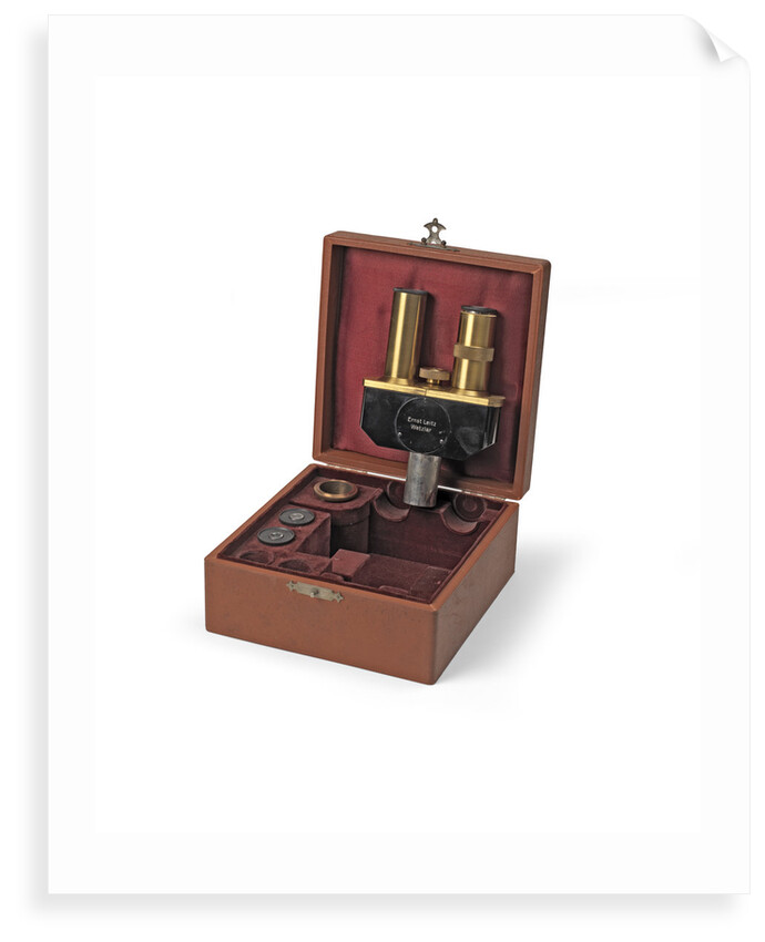 Binocular microscope eyepieces by Ernst Leitz GmbH