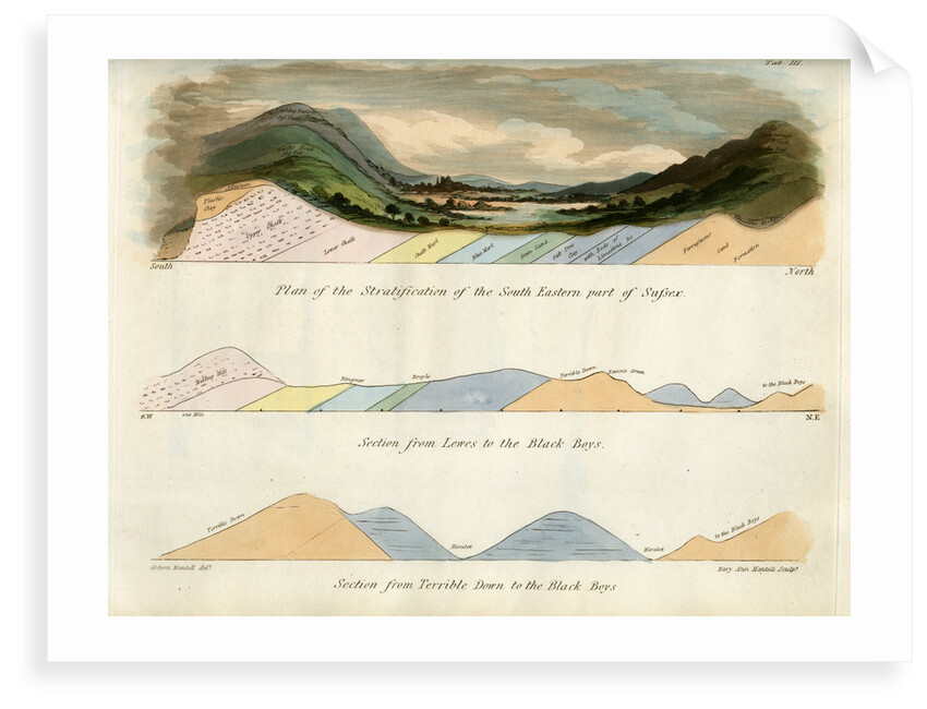 Strata in Sussex by Mary Ann Mantell