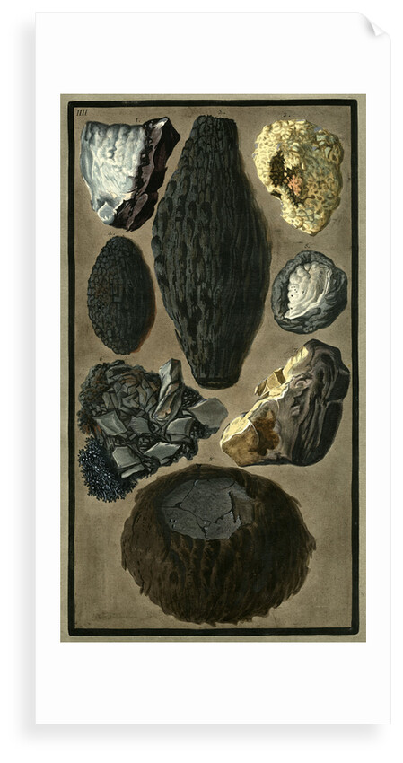Rock specimens by Pietro Fabris