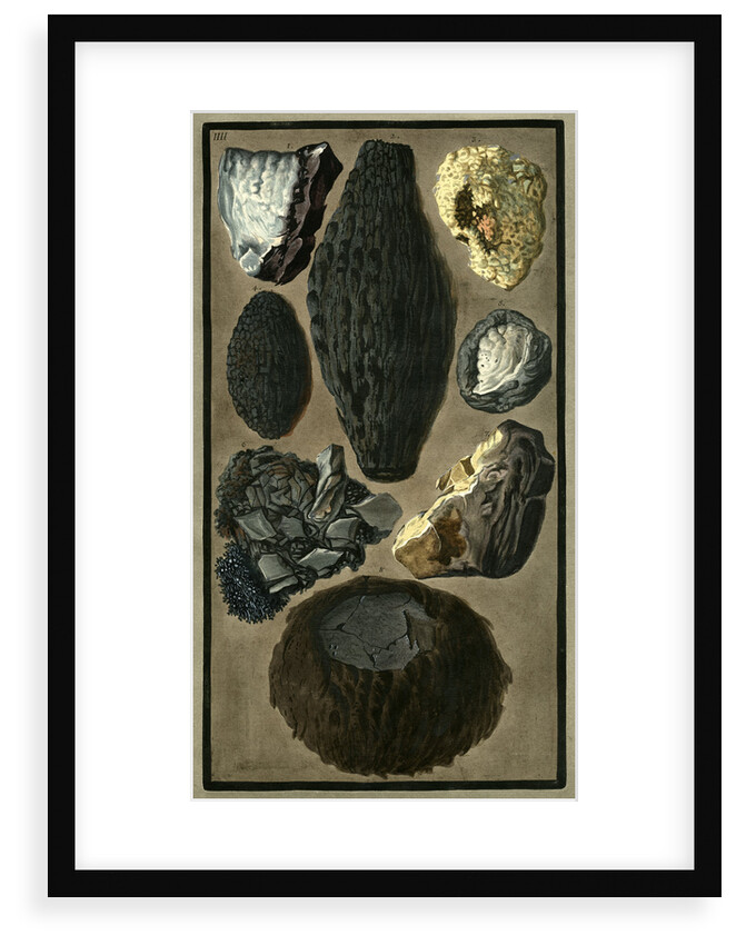 Rock specimens by Pietro Fabris