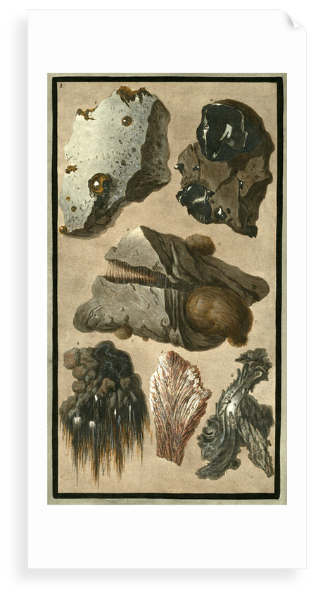 Rock specimens by Pietro Fabris