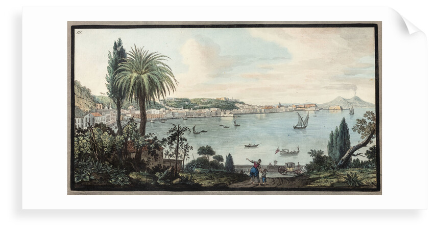 Naples by Pietro Fabris