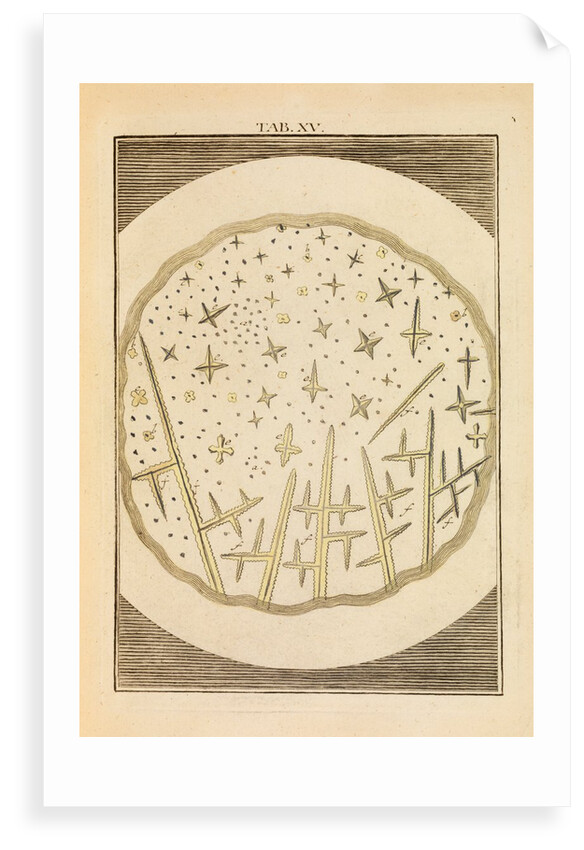 Crystals in urine by Martin Frobene Ledermuller