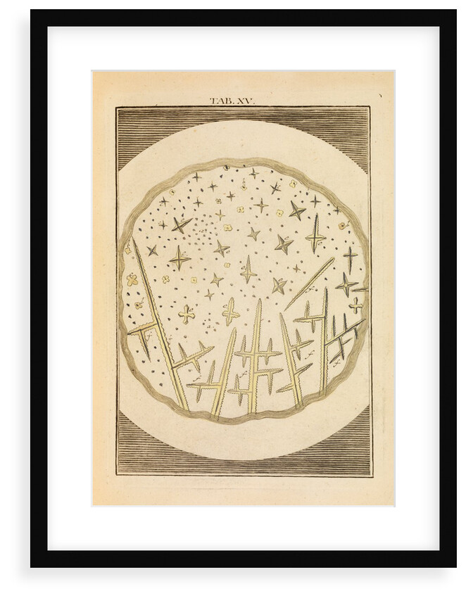 Crystals in urine by Martin Frobene Ledermuller
