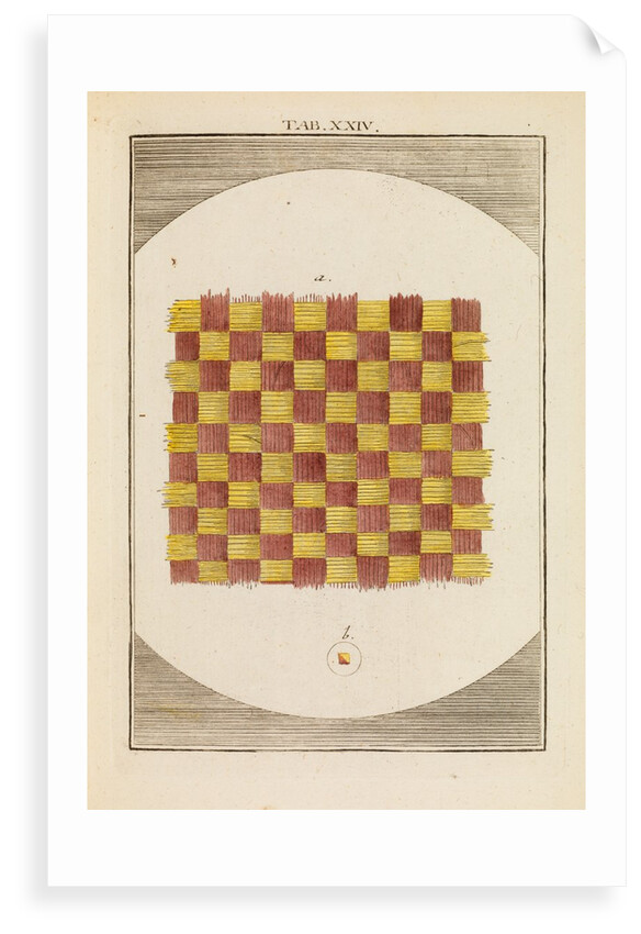 A piece of taffeta by Martin Frobene Ledermuller