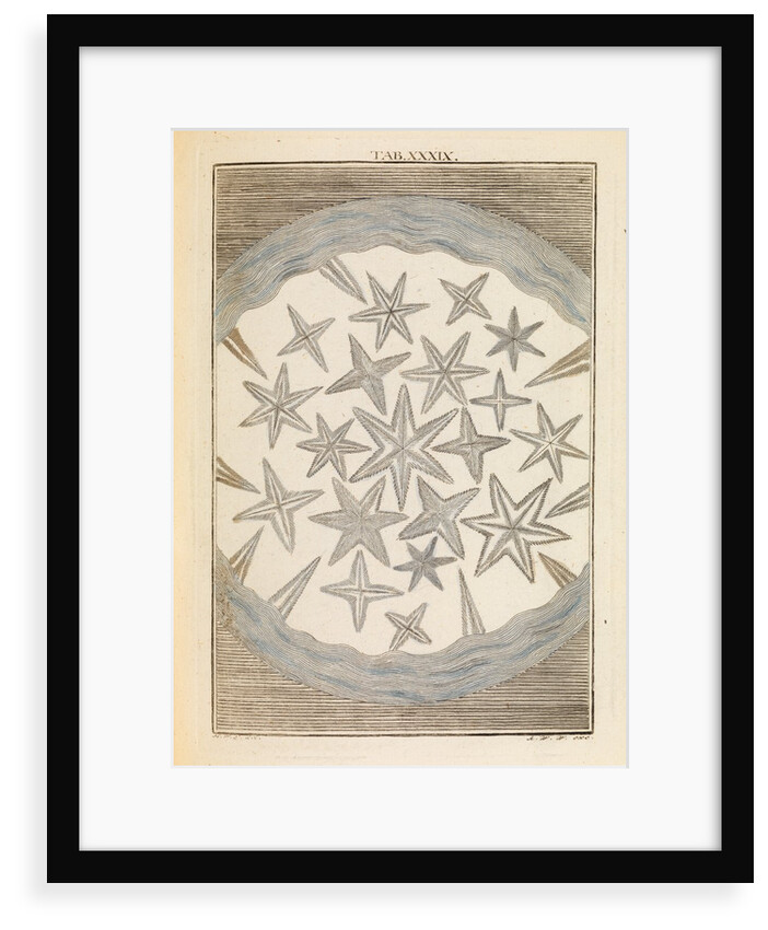 Camphor crystals by Martin Frobene Ledermuller