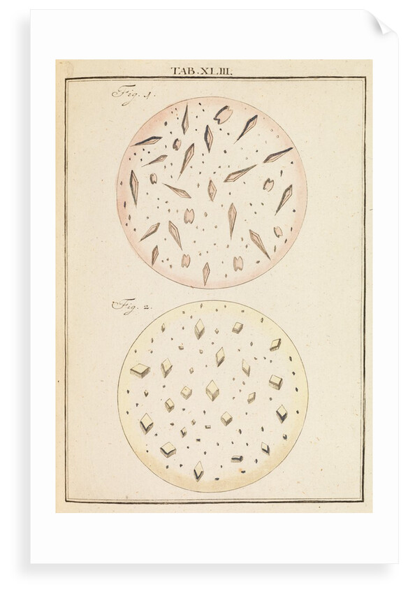 Crystals from wines by Martin Frobene Ledermuller