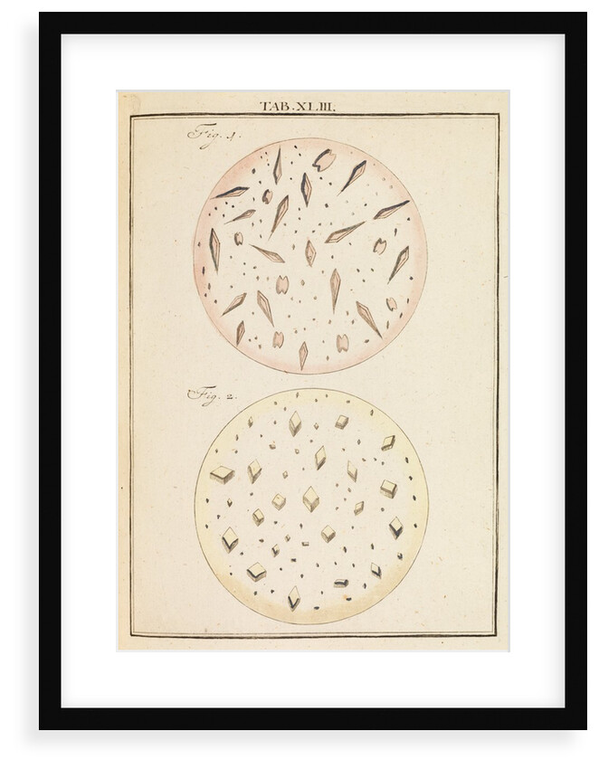 Crystals from wines by Martin Frobene Ledermuller