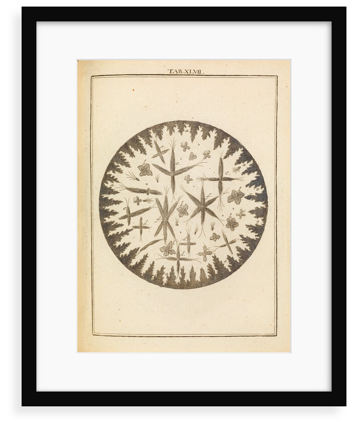 Glauber’s wonderful sal by Martin Frobene Ledermuller