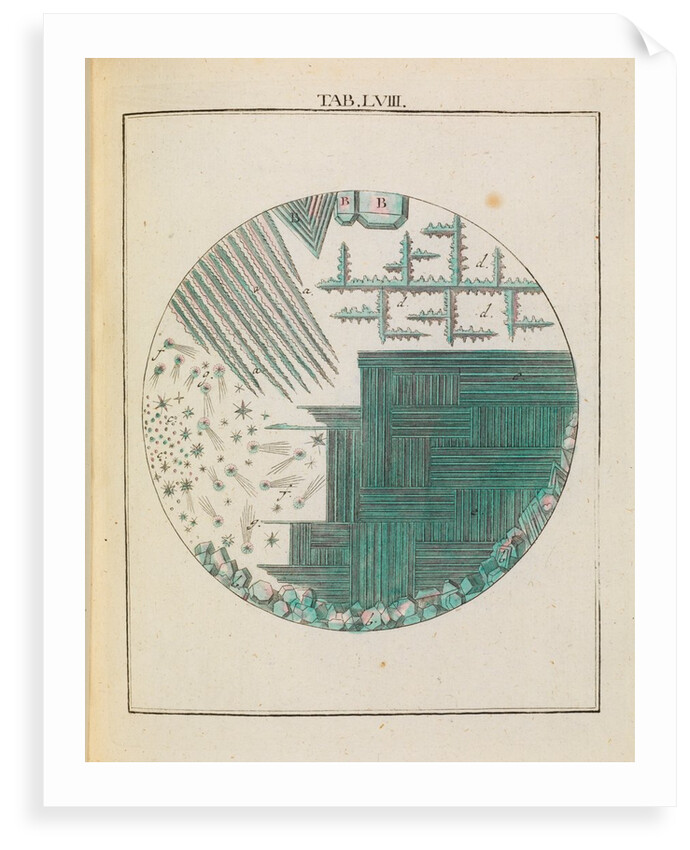 Alum by Adam Wolfgang Winterschmidt