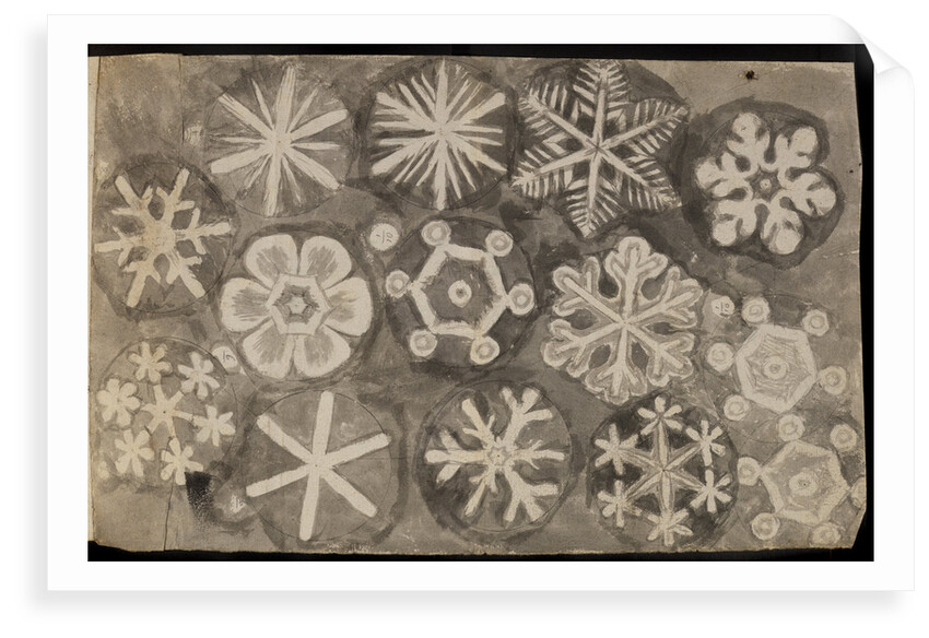 'Figures observ'd in snow' by Robert Hooke