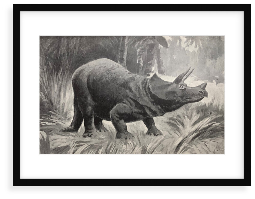 Triceratops by unknown