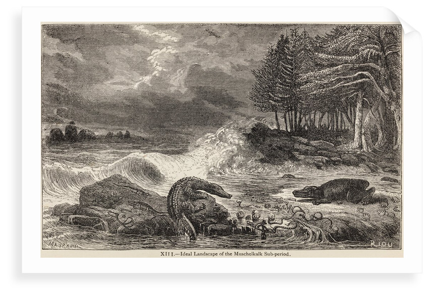 Nothosaurus by Charles Maurand