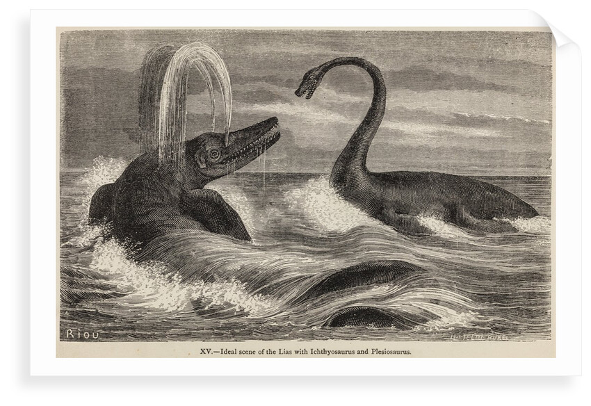 Ichthyosaur and plesiosaur by Unknown artist