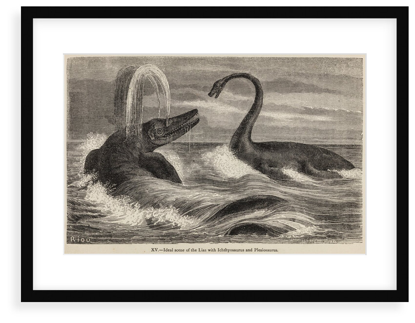 Ichthyosaur and plesiosaur by Unknown artist