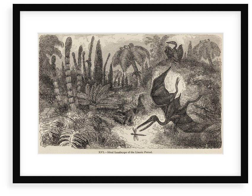 Pterodactyls by Unknown artist