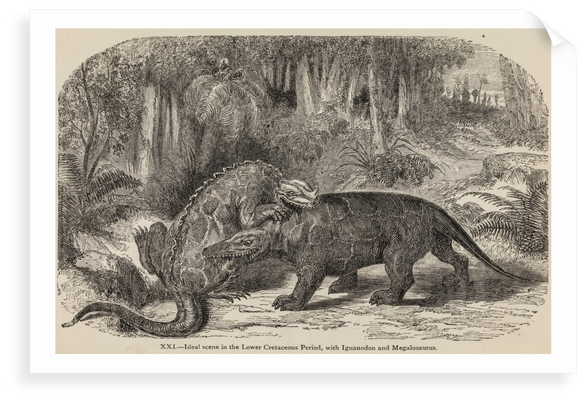 Iguanodon and megalosaurus by Unknown artist