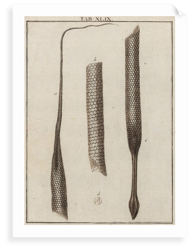 Goat hair by Adam Wolfgang Winterschmidt