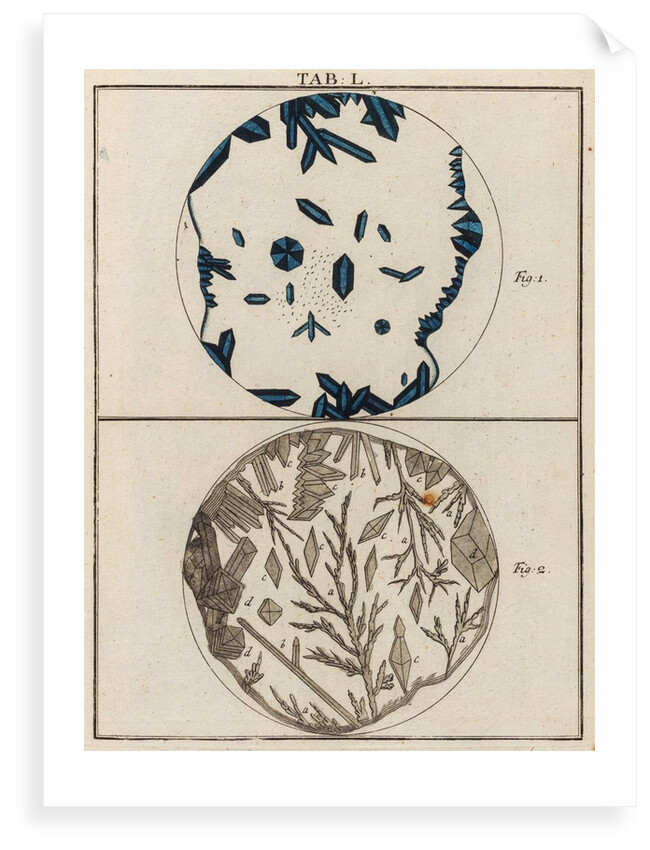 Salt specimens by Adam Wolfgang Winterschmidt