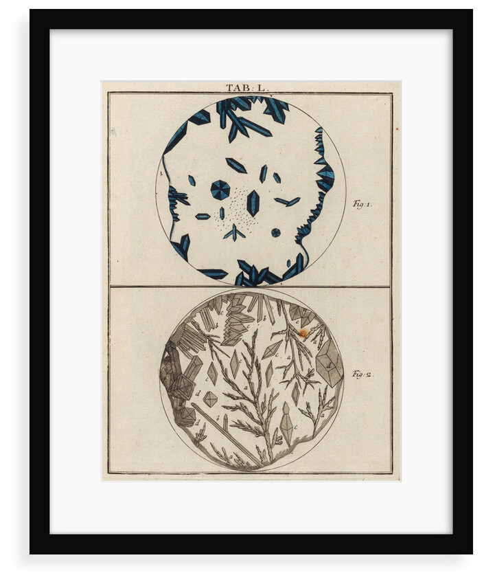 Salt specimens by Adam Wolfgang Winterschmidt