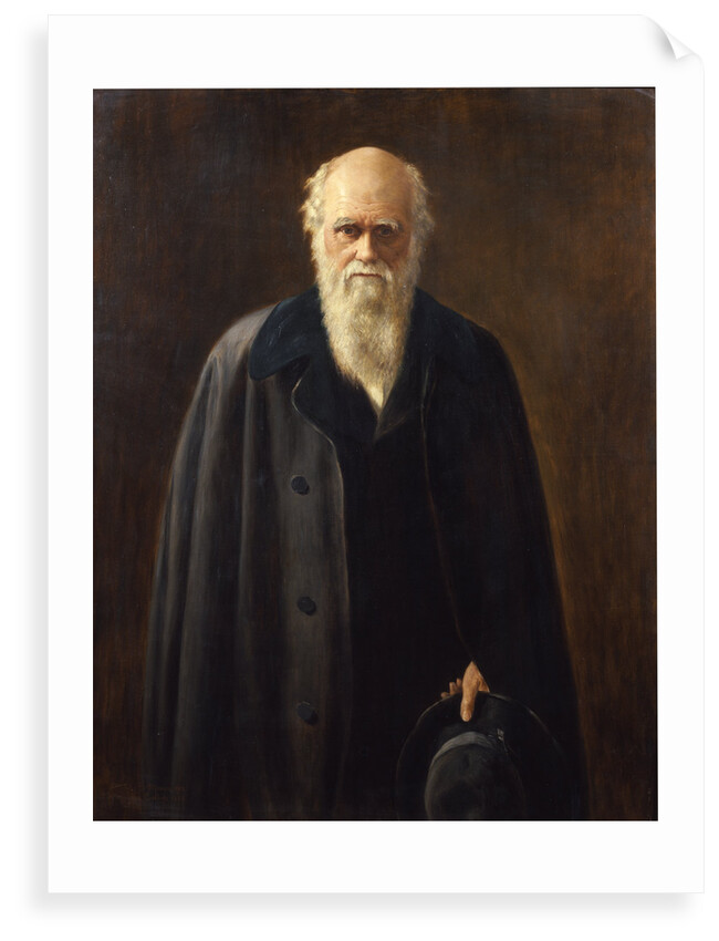 Portrait of Charles Darwin (1809-1882) by Mabel Messer