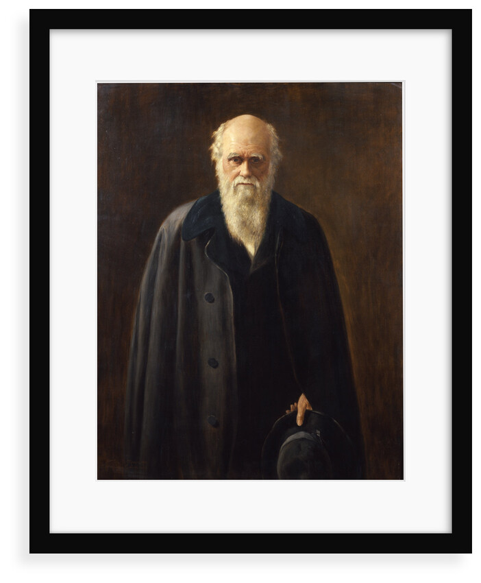 Portrait of Charles Darwin (1809-1882) by Mabel Messer
