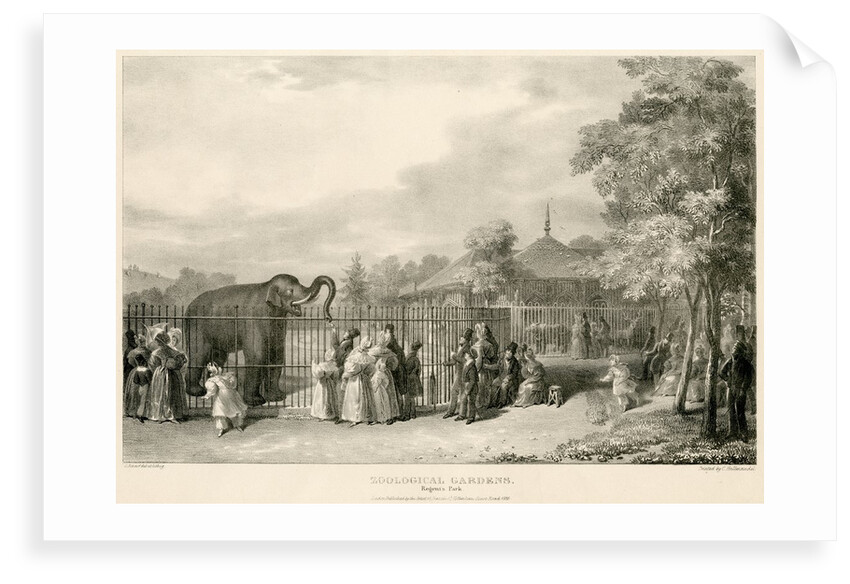 Elephant enclosure by George Johann Scarf