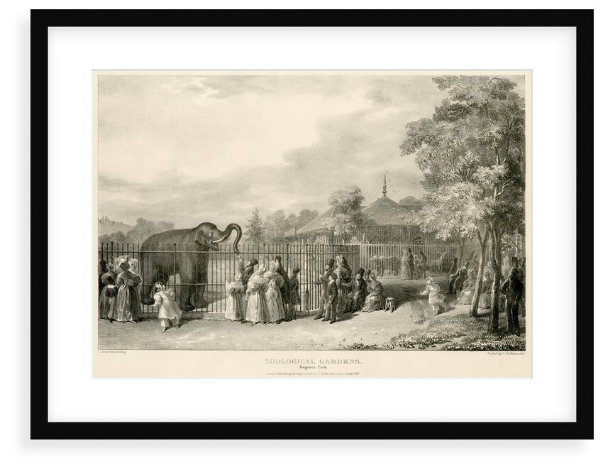 Elephant enclosure by George Johann Scarf