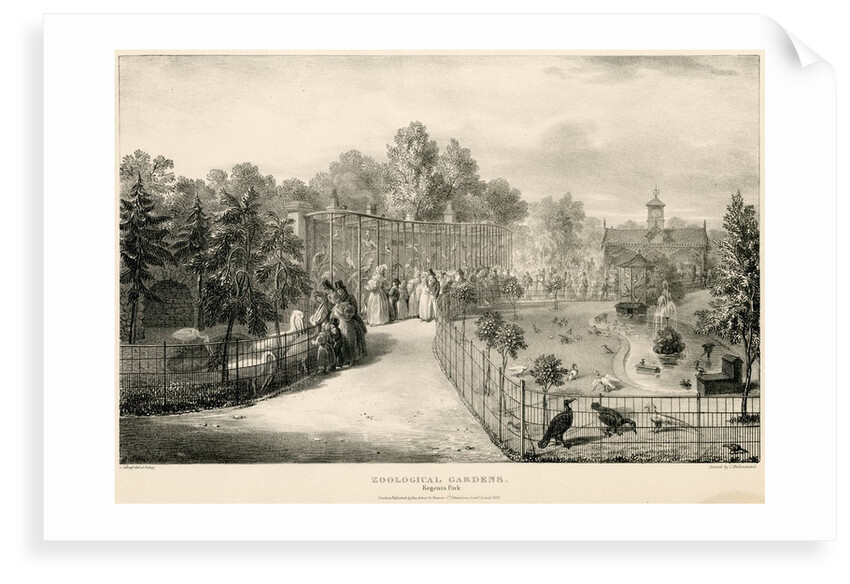 Bird enclosures by George Johann Scarf