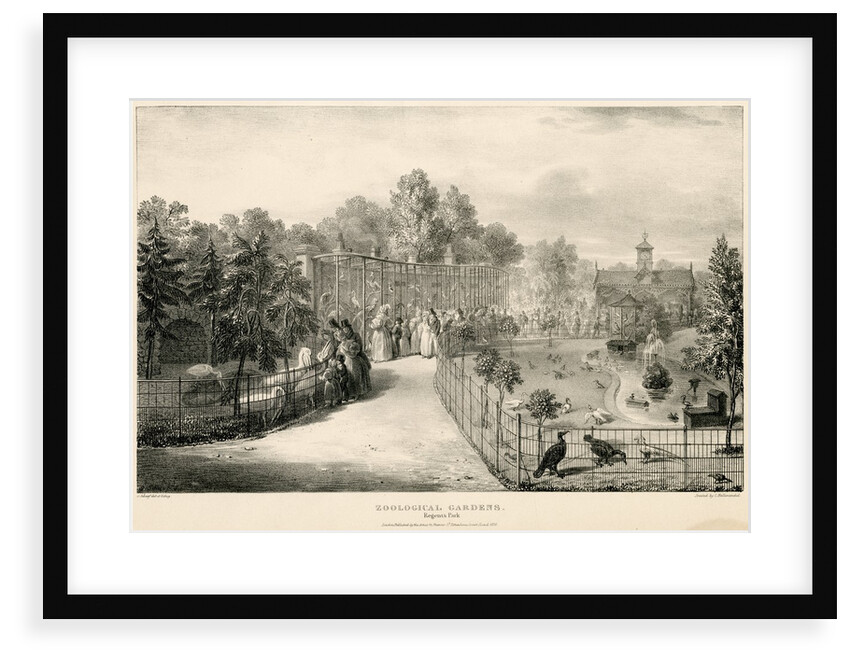 Bird enclosures by George Johann Scarf