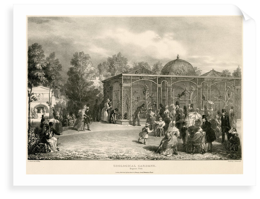 Monkey house by George Johann Scarf