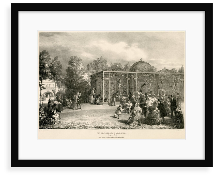 Monkey house by George Johann Scarf