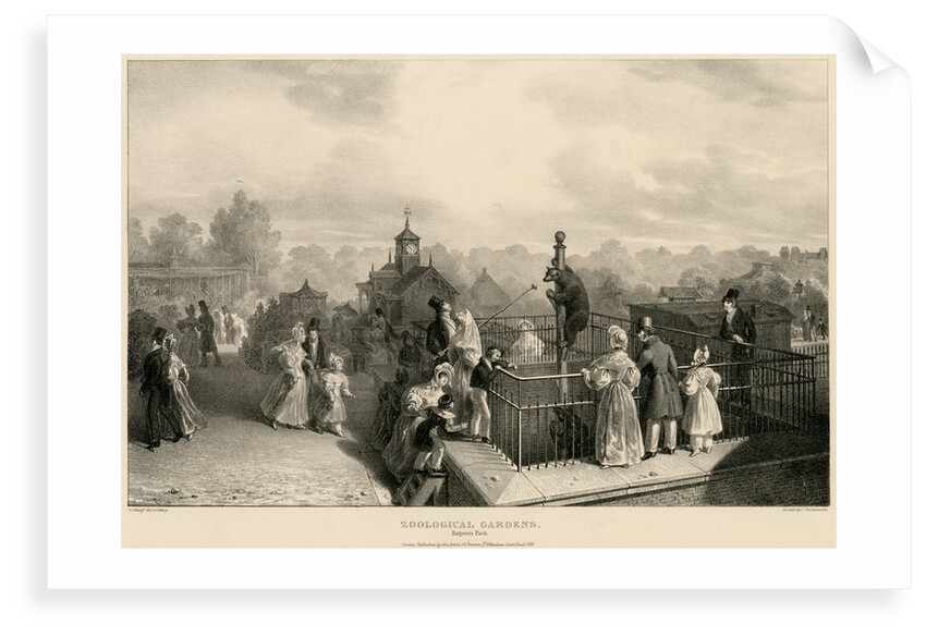 Bear pit by George Johann Scarf