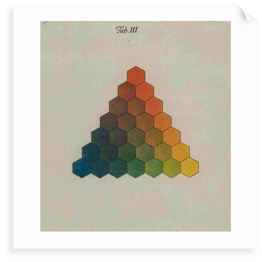 Colour triangle by Tobias Mayer