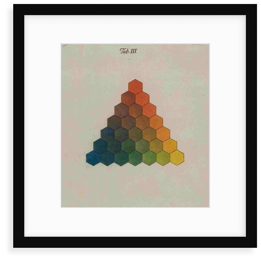 Colour triangle by Tobias Mayer