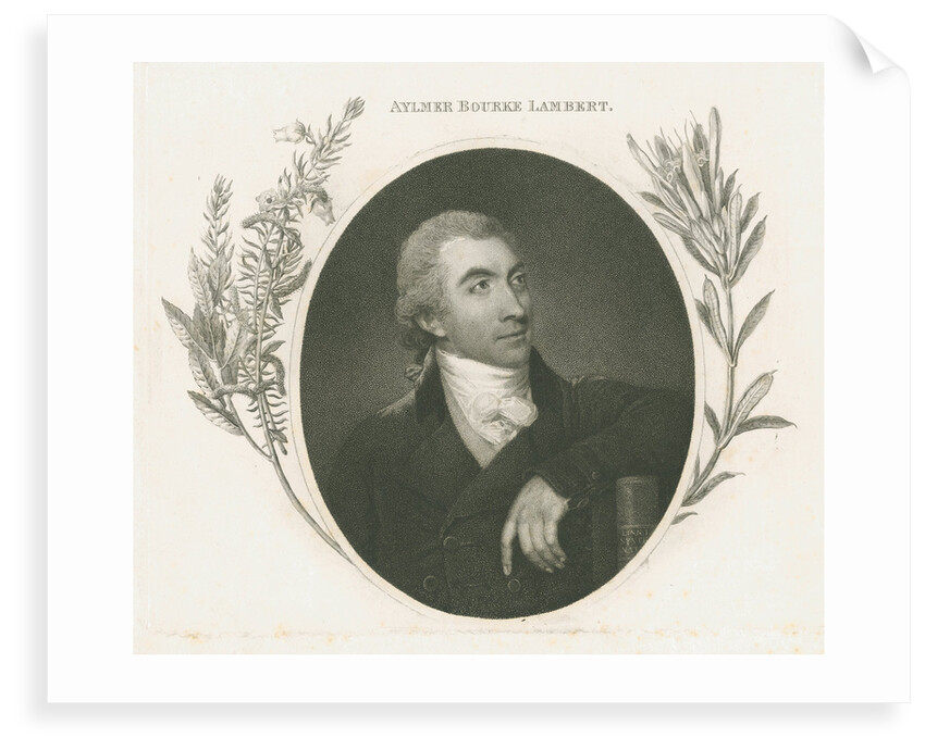 Portrait of Aylmer Bourke Lambert (1761-1842) by unknown