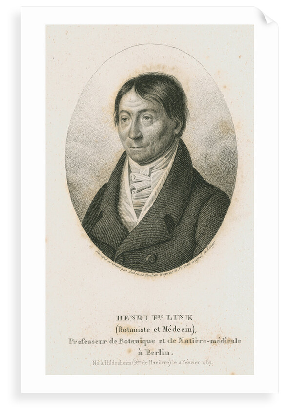 Portrait of Johann Heinrich Friedrich Link (1767-1851) by Ambroise Tardieu